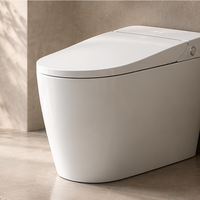 Smart Toilets