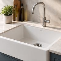 Ceramic Kitchen Sinks